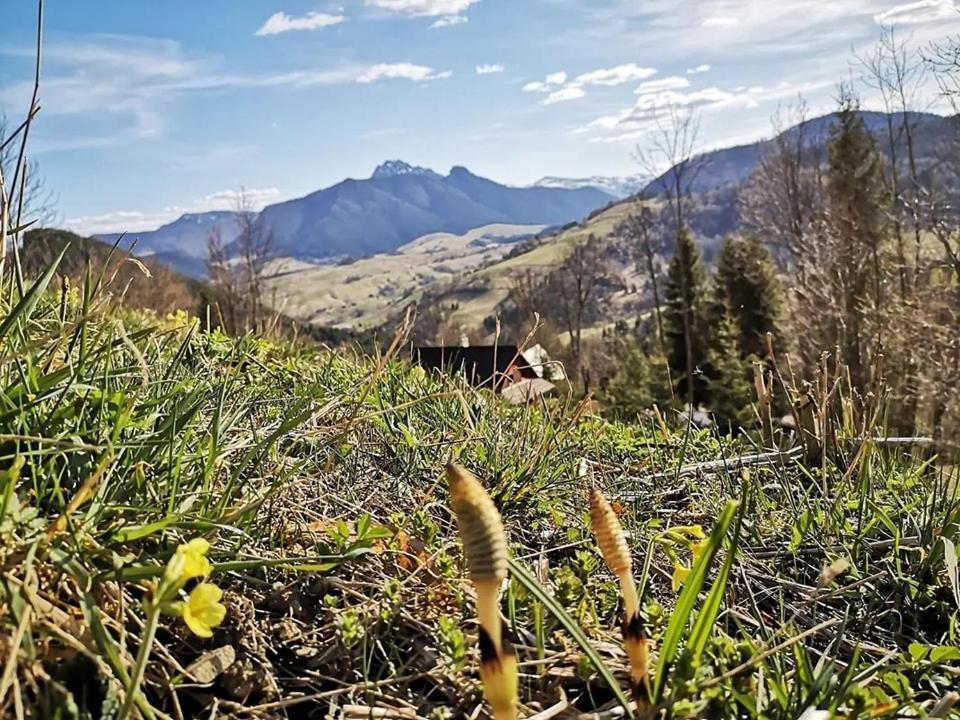 Penzion Zázrifka Zázrivá Exterior foto